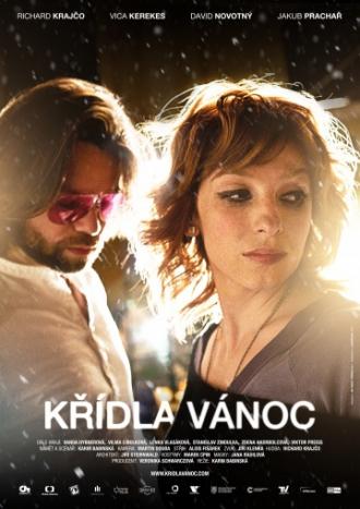 Крылатое Рождество (фильм 2013)