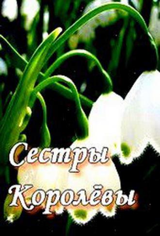 Сестры Королевы (сериал 2010)