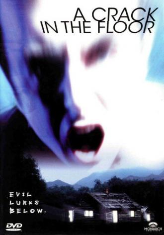 Трещина в полу (фильм 2001)