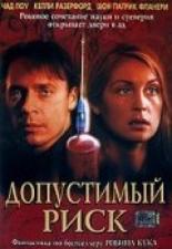 Допустимый риск (2001)