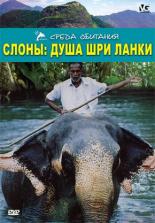 Слоны: Душа Шри-Ланки 2000