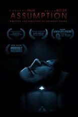 Допущение (2017)