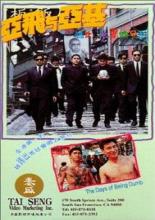 Дни глупости (1992)