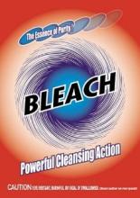 Bleach 2002