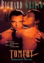 Опасный эксперимент (1993)
