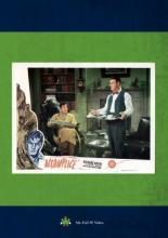 Accomplice 1946
