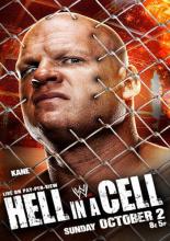 WWE Ад в клетке (2011)