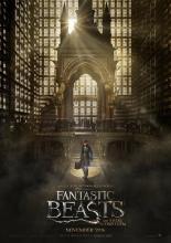 Фантастические твари и где они обитают (2016)