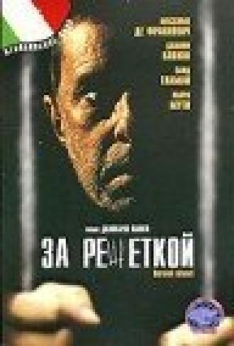 За решеткой