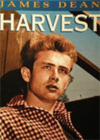 Жатва (фильм 1953)