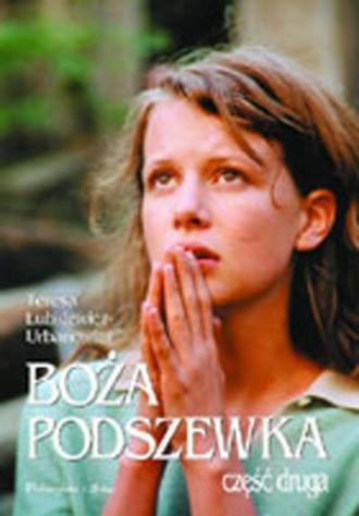 Божья подкладка 2 (сериал 2005)