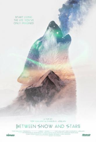 Между снегом и звёздами (фильм 2015)