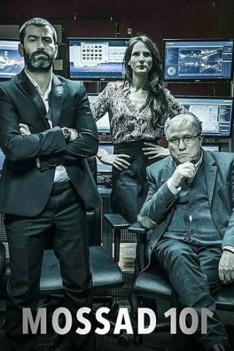 Академия шпионов (сериал 2015)