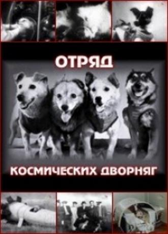 Отряд космических дворняг (фильм 2004)