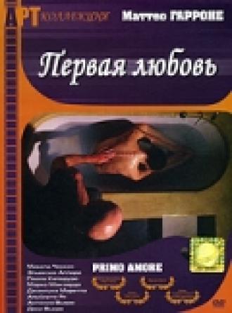 Первая любовь (фильм 2003)