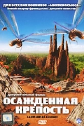 Осажденная крепость (фильм 2006)