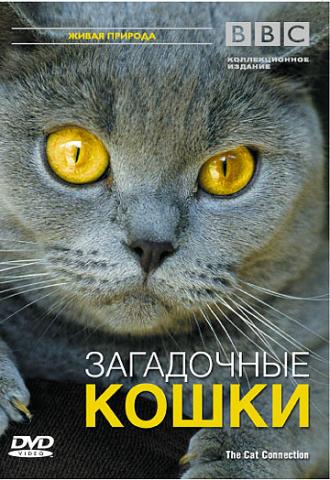 BBC: Загадочные кошки (фильм 2002)