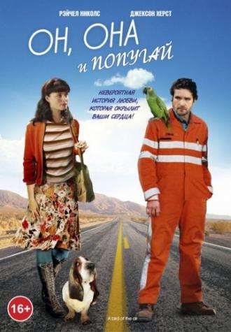 Он, она и попугай (фильм 2011)
