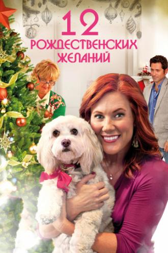 12 Рождественских желаний (фильм 2011)