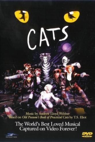 Кошки (фильм 1998)