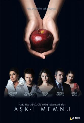 Запретная любовь  (фильм 2008)