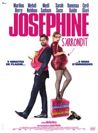 Случайно беременна (фильм 2015)