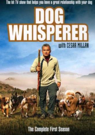 Переводчик с собачьего  (сериал 2004)