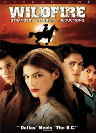 Дикий огонь  (фильм 2005)