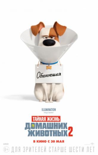 Тайная жизнь домашних животных 2 (фильм 2019)