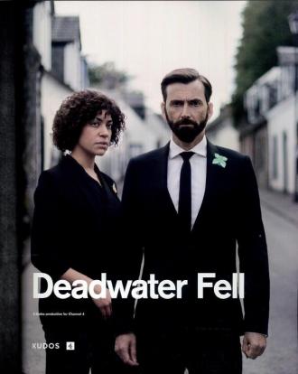 Падение в мёртвые воды (сериал 2020)
