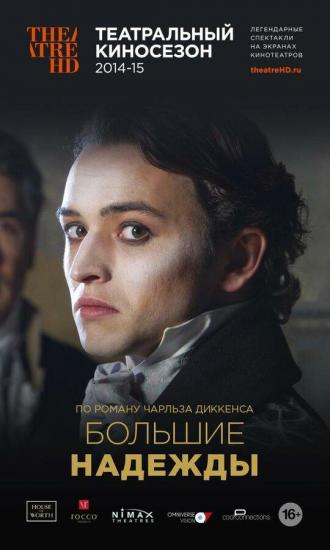 Большие надежды (фильм 2013)