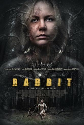 Кролик (фильм 2017)