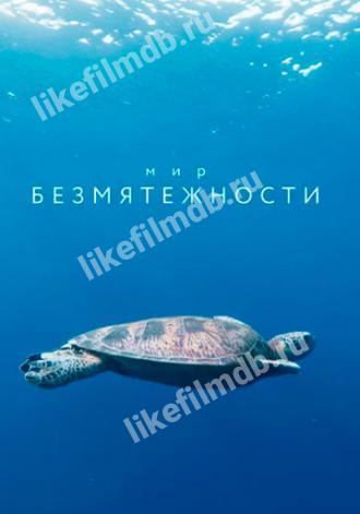 Мир безмятежности (сериал 2020)