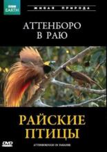 BBC: Райские птицы 1996