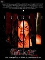 Flicker 2009