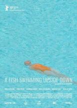 Ein Fisch, der auf dem Rücken schwimmt (2020)