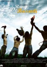 Цвет шафрана (2006)