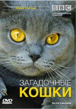 BBC: Загадочные кошки (2002)