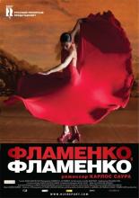 Фламенко, фламенко (2010)