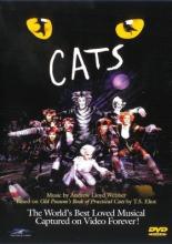 Кошки (1998)
