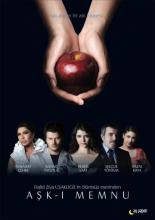 Запретная любовь  (2008)