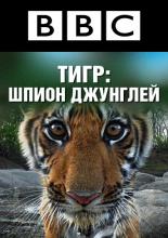 BBC: Тигр – Шпион джунглей  (2008)
