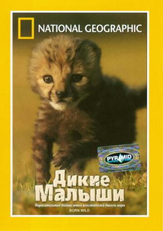 НГО: Дикие малыши (фильм 2003)