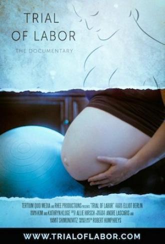 Trial of Labor (фильм 2015)