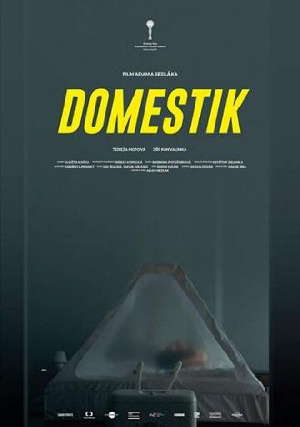 Домашний режим (фильм 2018)
