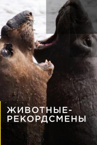 Животные-рекордсмены (сериал 2013)