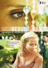 Nachbeben 2006