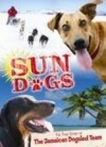 Sun Dogs 2006