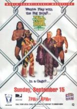WCW Жесткая драка 1996 1996