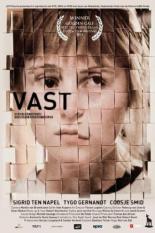 Vast 2011